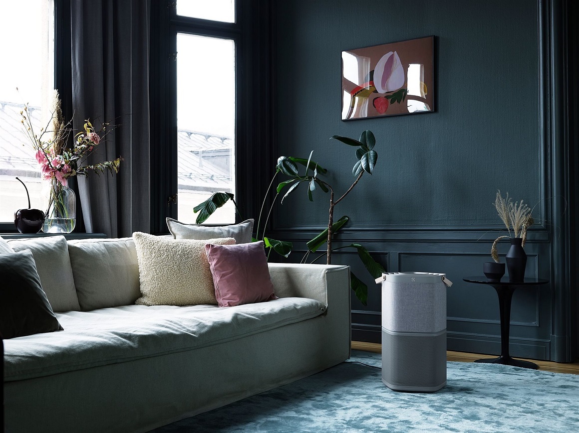 Recenzia čističky vzduchu Electrolux Pure A9